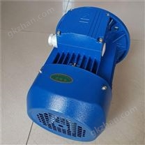 3KW清華紫光三相異步電機(jī)