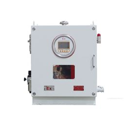 石油化工电力危险品车间防爆正压柜