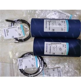 EGEIGMF 008 WS P31073接近传感器