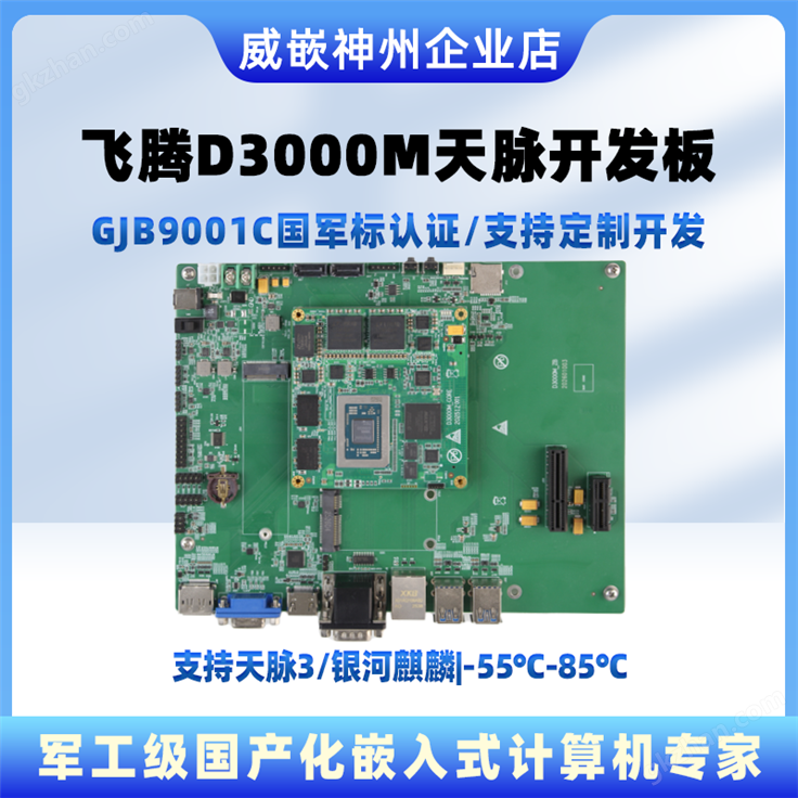 飞腾D3000M天脉系统开发板国产操作系统