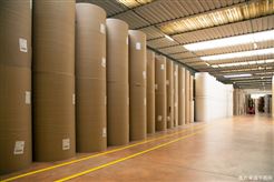 【政策】海关总署发布《关于规范进口再生纸浆监督监管有关事项》