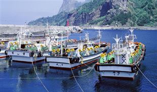 关于发布《船舶防范寒潮大风指南（试行）》的通告