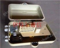 48芯光纖分線箱