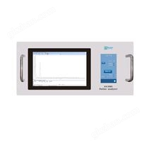 在線微量CO2N2O分析儀