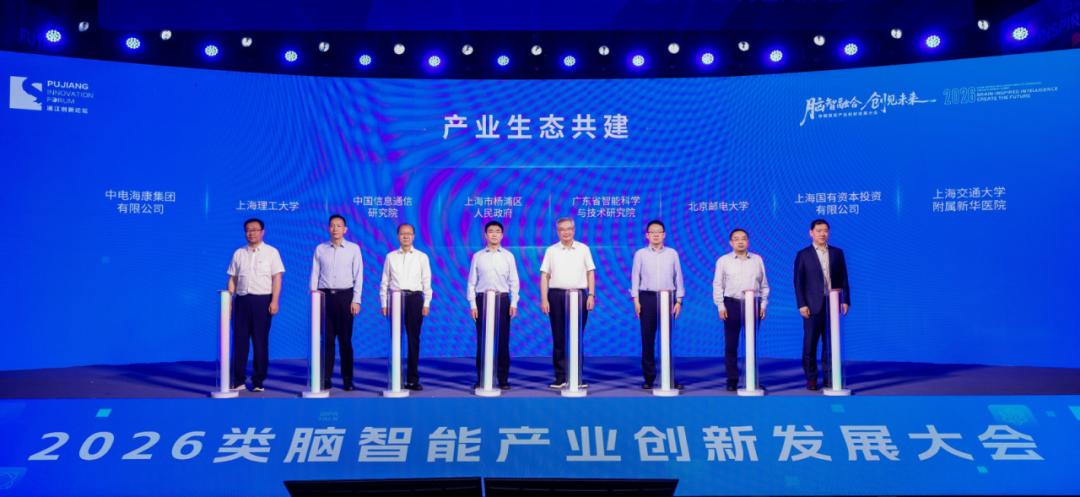 无码免费人妻A片AAA毛片西瓜