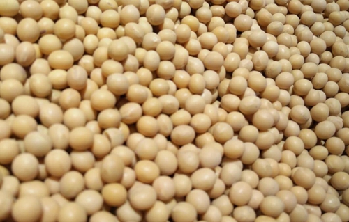 浙江省农业农村厅等7部门关于促进粮油产业稳定发展的意见