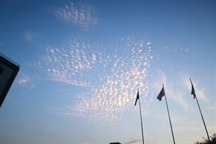 上海市内首批常态化无人机医疗航线开通 打通“空中绿色通道”